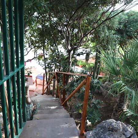 테라시니 Casa Elvira 빌라 외부 사진